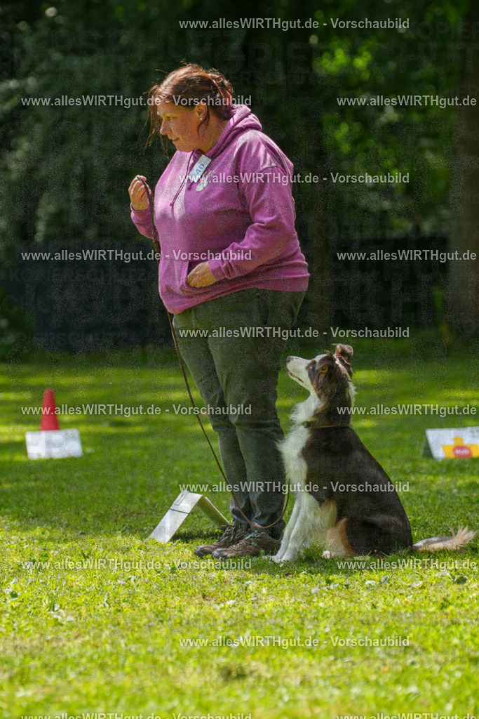 @allesWIRTHgut_Tierfotografie - www.allesWIRTHgut.de - 7R504857 | Professionelle Tierfotografie in Mönchengladbach von Daniel Wirth (allesWIRTHgut). Liebevolle & natürliche Bilder von Hunden & Katzen für unvergessliche Erinnerungen.