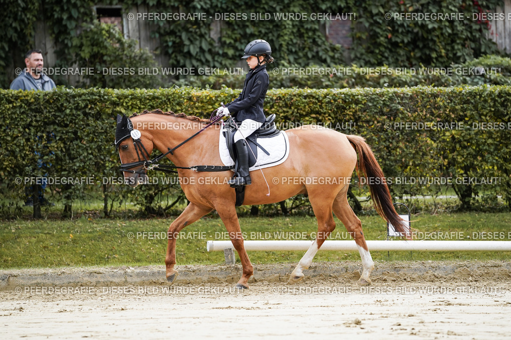 DSC05138 | Pferdegrafie