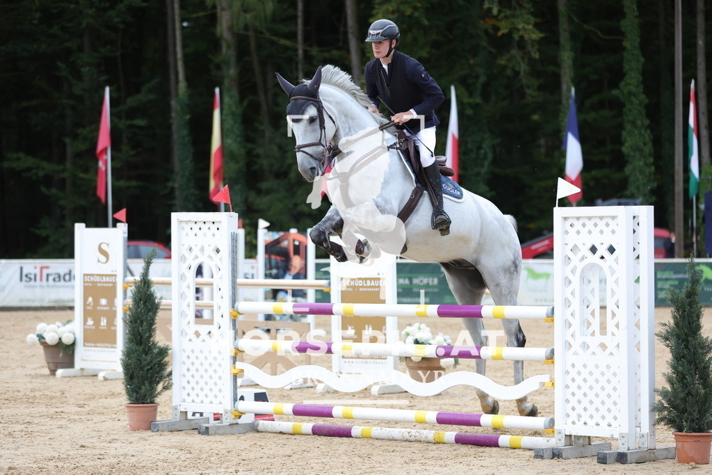 0P6A7100 | Willkommen bei Brunnmayr - Design & Fotografie – Ihrem Spezialisten für Reitturniere und Pferdeveranstaltungen in Oberösterreich, Salzburg und Bayern! Seit über 17 Jahren sind wir leidenschaftlich dabei.