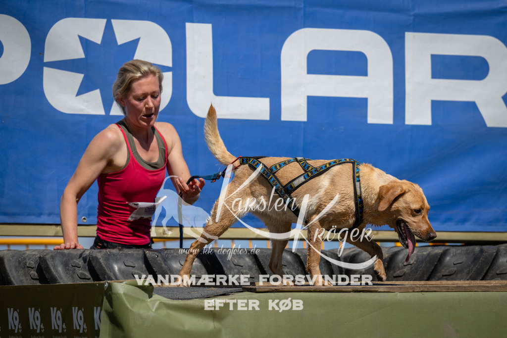 1342_ZZ99123 | kk-dogfotos