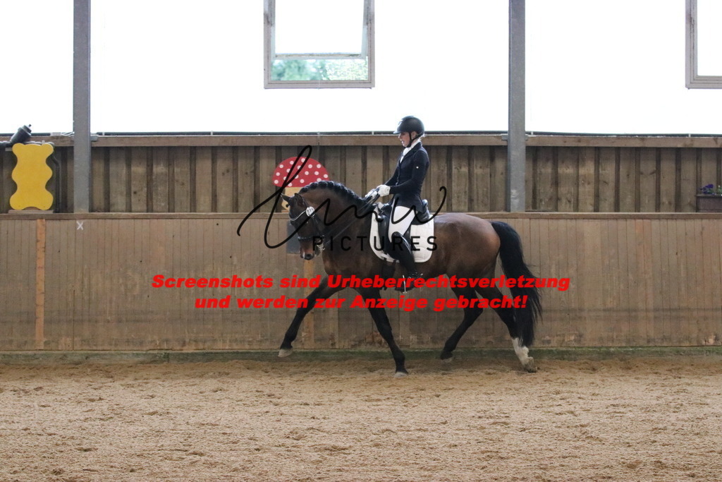 IMG_8979 | lmwpictures - Realisiert mit Pictrs.com