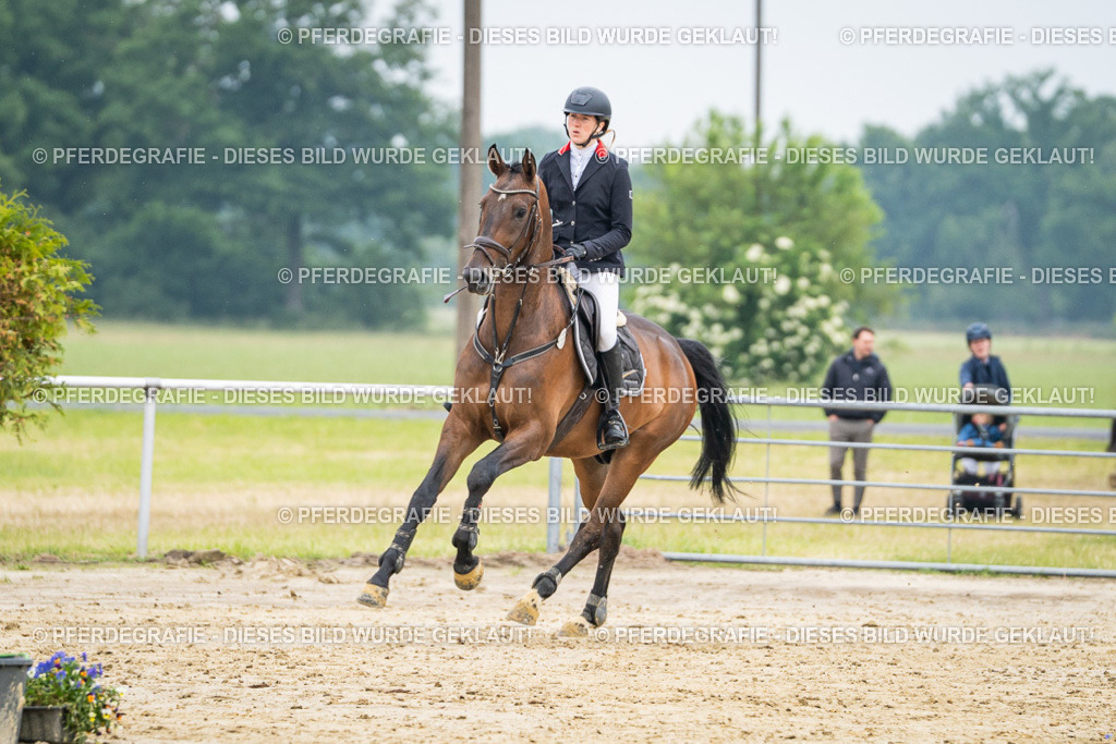 DSC00382 | Pferdegrafie