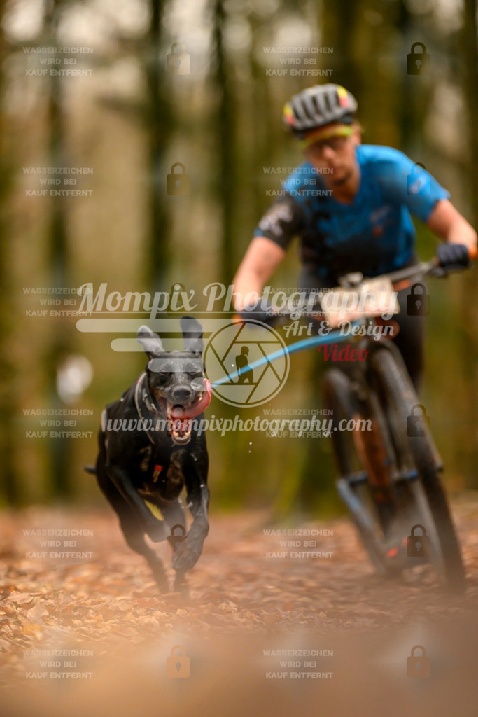 MompixPhotography_Habay2024_SA_Scooter-10 | PayLife