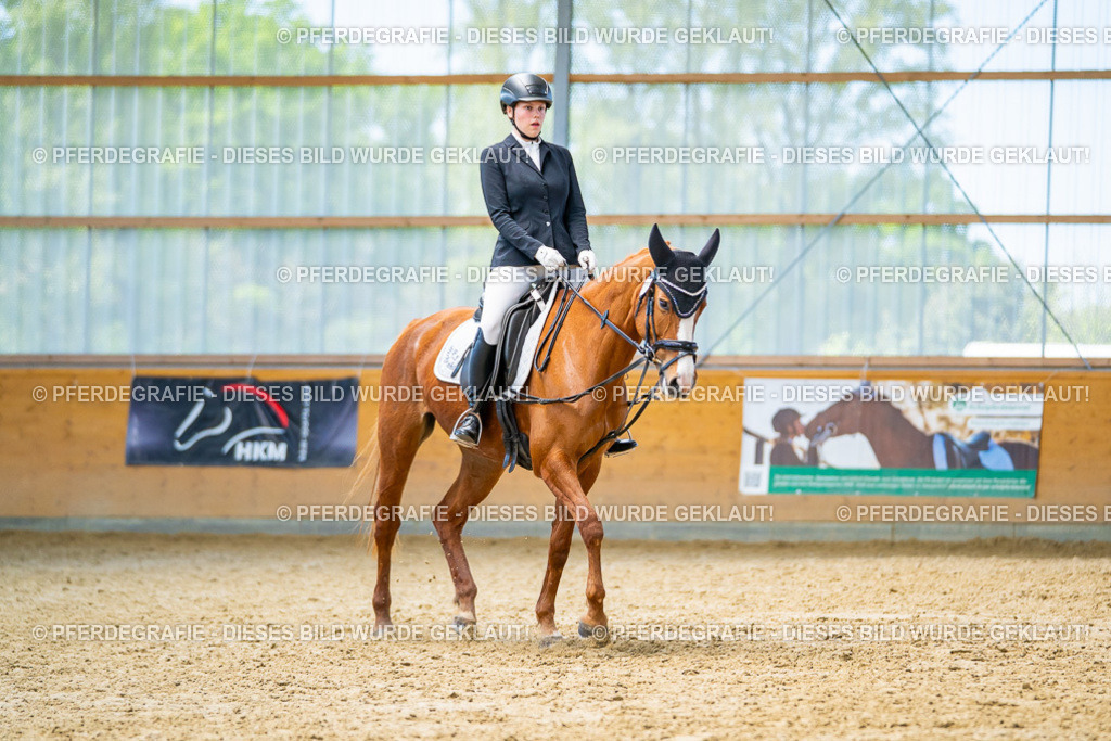 DSC08496 | Pferdegrafie