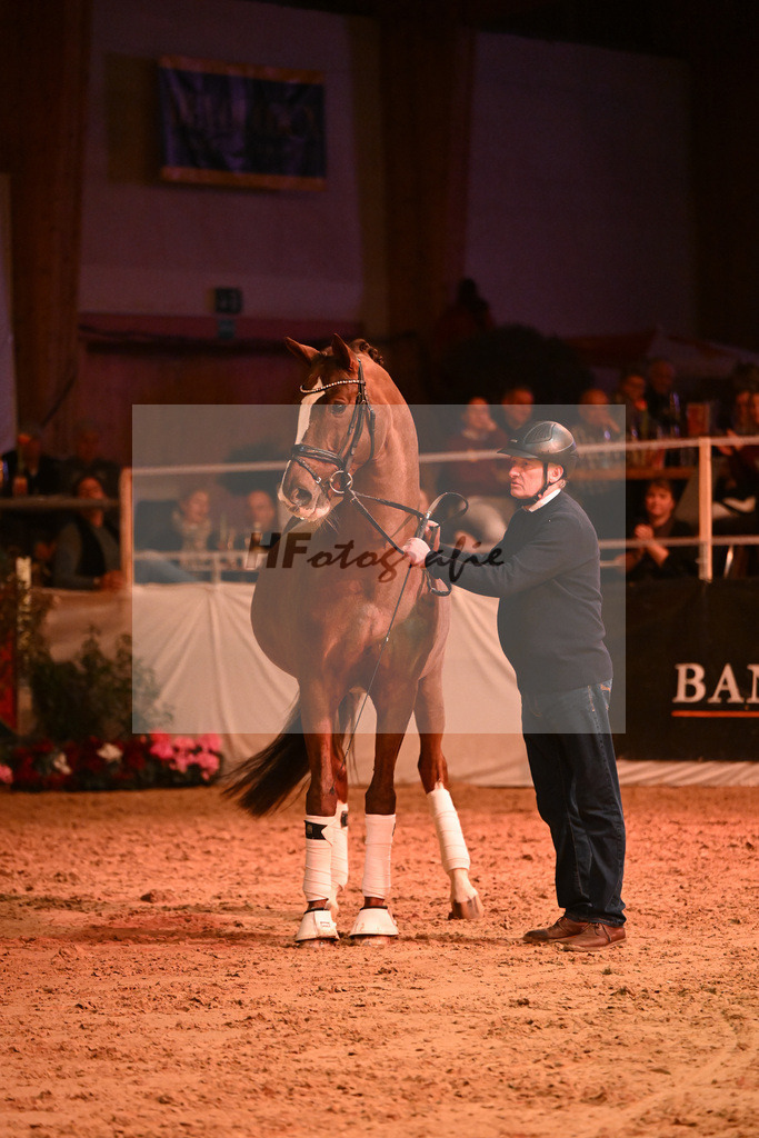 Don Diamond_1235067 | hf-fotografie - Realisiert mit Pictrs.com