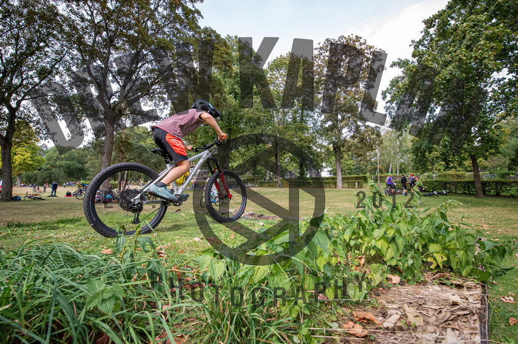 DKP-4030 | Drew Kaplan Photography