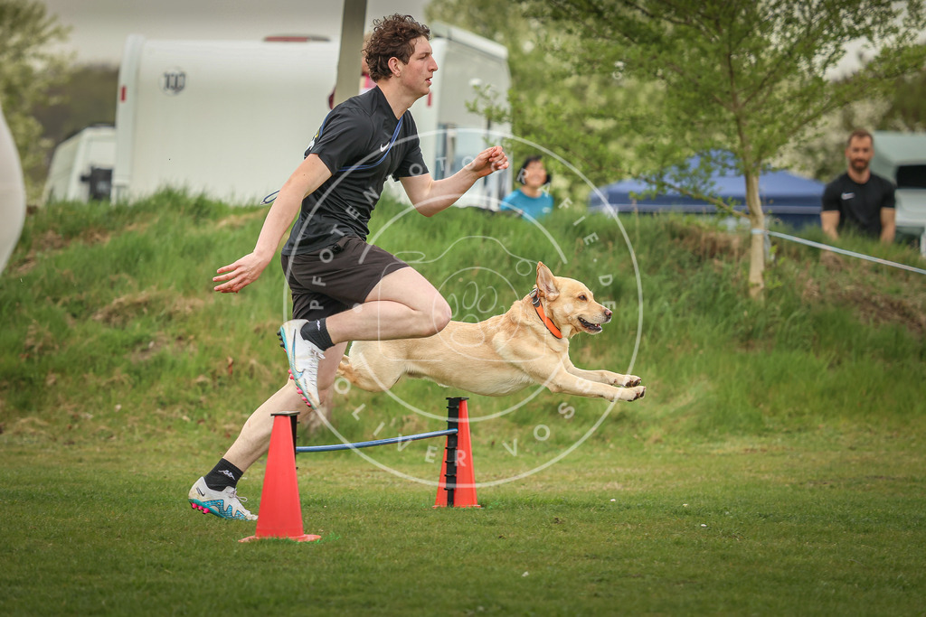 Pfotenfotografie_0L8A0872 | Hundefotografie, Tierfotograf, Pfotenfotografie, Fotoshooting Hund, Hunde Portrait, Hundesport, Hundeportraits, Heideshooting, Hunde, Sportfotograf, Hundefotograf, Turnierhundsport, THS,  - Realisiert mit Pictrs.com