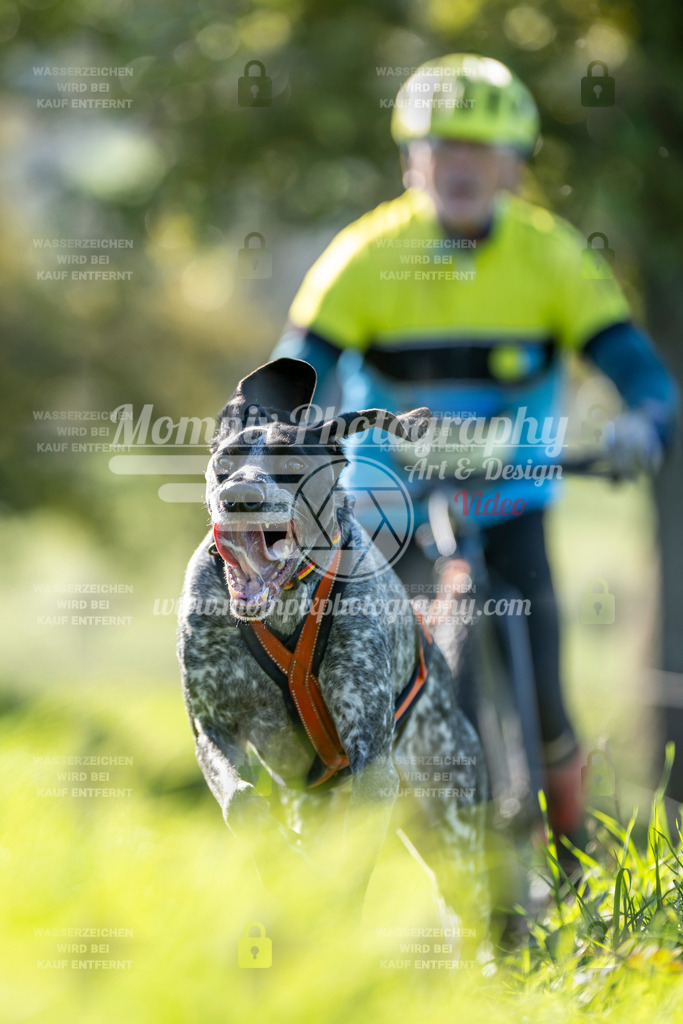 MompixPhotography_20TSB_E3_DS1-61 | PayLife