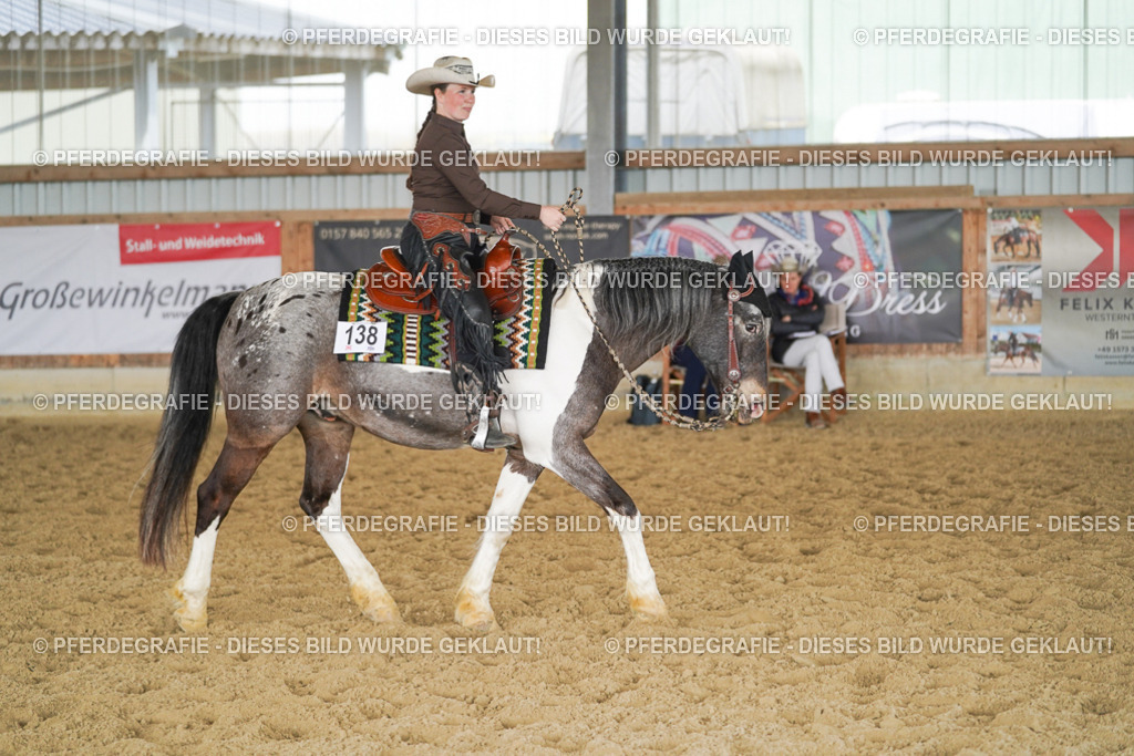 DSC02111 | Pferdegrafie