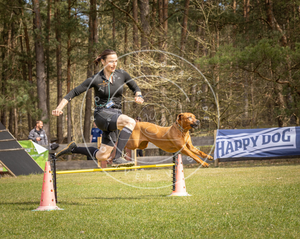 Pfotenfotografie_DV3A6138 | Hundefotografie, Tierfotograf, Pfotenfotografie, Fotoshooting Hund, Hunde Portrait, Hundesport, Hundeportraits, Heideshooting, Hunde, Sportfotograf, Hundefotograf, Turnierhundsport, THS,  - Realisiert mit Pictrs.com