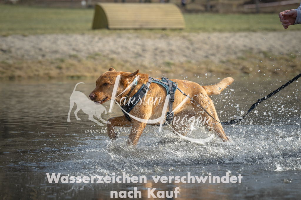 1057_ZZ91034 | kk-dogfotos