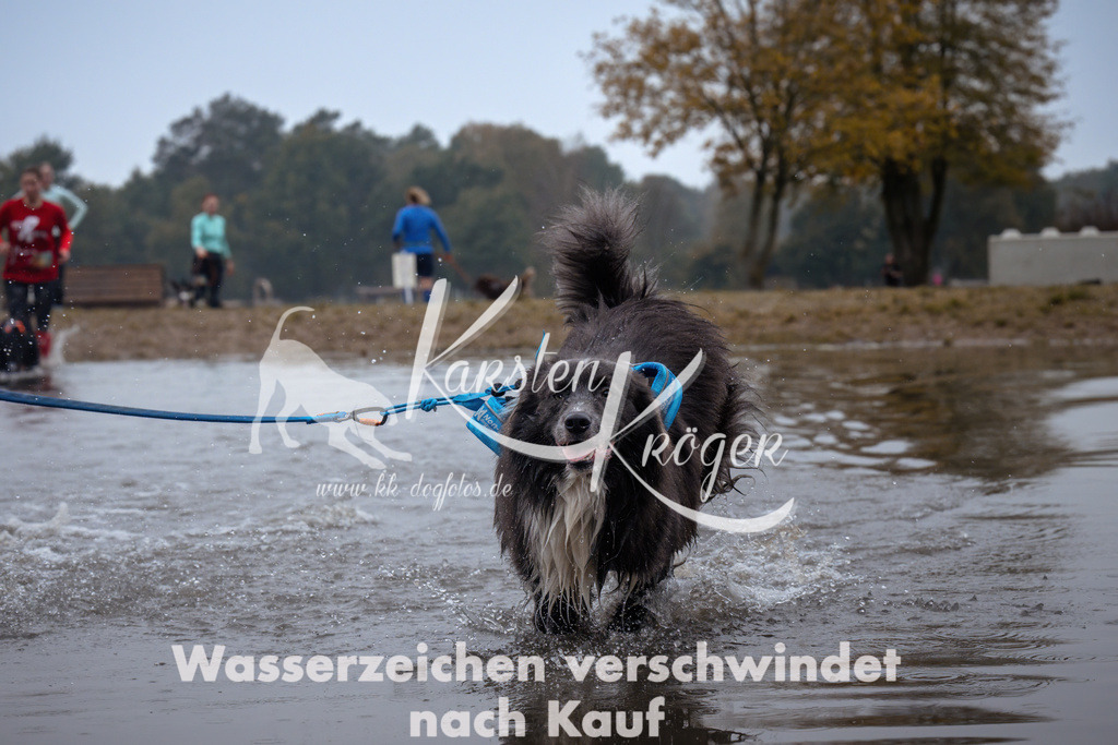 0928_ZZ95092 | kk-dogfotos