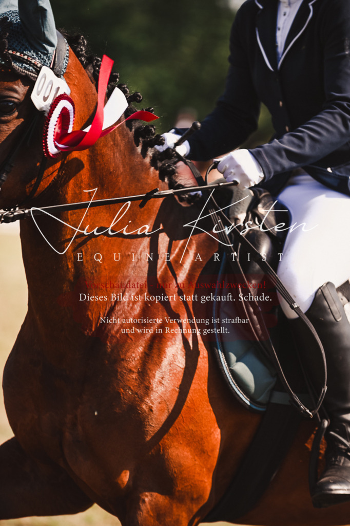 DSC_7394 | Pferde- und Turnierfotografie in Westsachsen. Pferdeportraits, Auftragszeichnungen und intuitive Kunst.