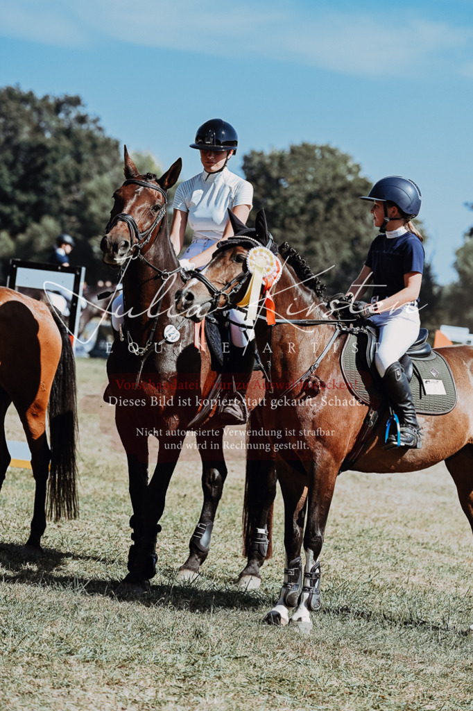 DSC_0127 | Pferde- und Turnierfotografie in Westsachsen. Pferdeportraits, Auftragszeichnungen und intuitive Kunst.