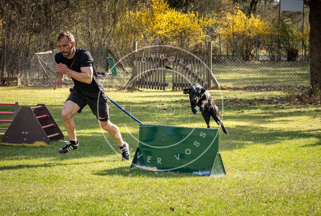 Pfotenfotografie_DV3A1712 | Hundefotografie, Tierfotograf, Pfotenfotografie, Fotoshooting Hund, Hunde Portrait, Hundesport, Hundeportraits, Heideshooting, Hunde, Sportfotograf, Hundefotograf, Turnierhundsport, THS,  - Realisiert mit Pictrs.com