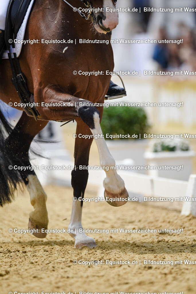 20250607_1_GP-Tour_Dressage_0160 | Foto: Thomas Hartig