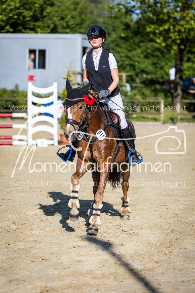 Donop24-ASpr-138 | MomenTaufnahmen Pferdesportfotos