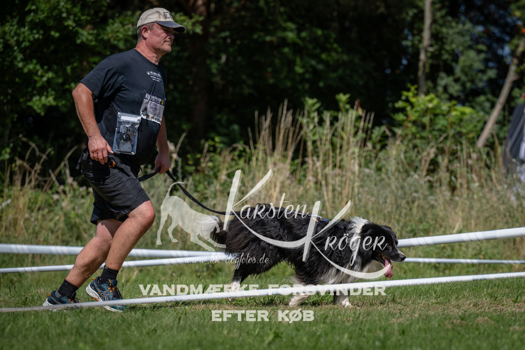 1253_ZZ97072 | kk-dogfotos