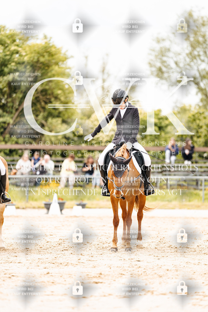 CK903025 | Turnierfotografie Pferdefotografie Trier Rheinland-Pfalz Pferdesport Reitsport Tierfotografie Sportfotografie Pferdevideo Pferdevideografie Equestrianvideography equestrianphotography  - Realisiert mit Pictrs.com