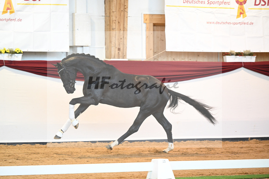 Kat-Nr. 22 v. Don Juan de Hus_Mueller_66220704 | hf-fotografie - Realisiert mit Pictrs.com