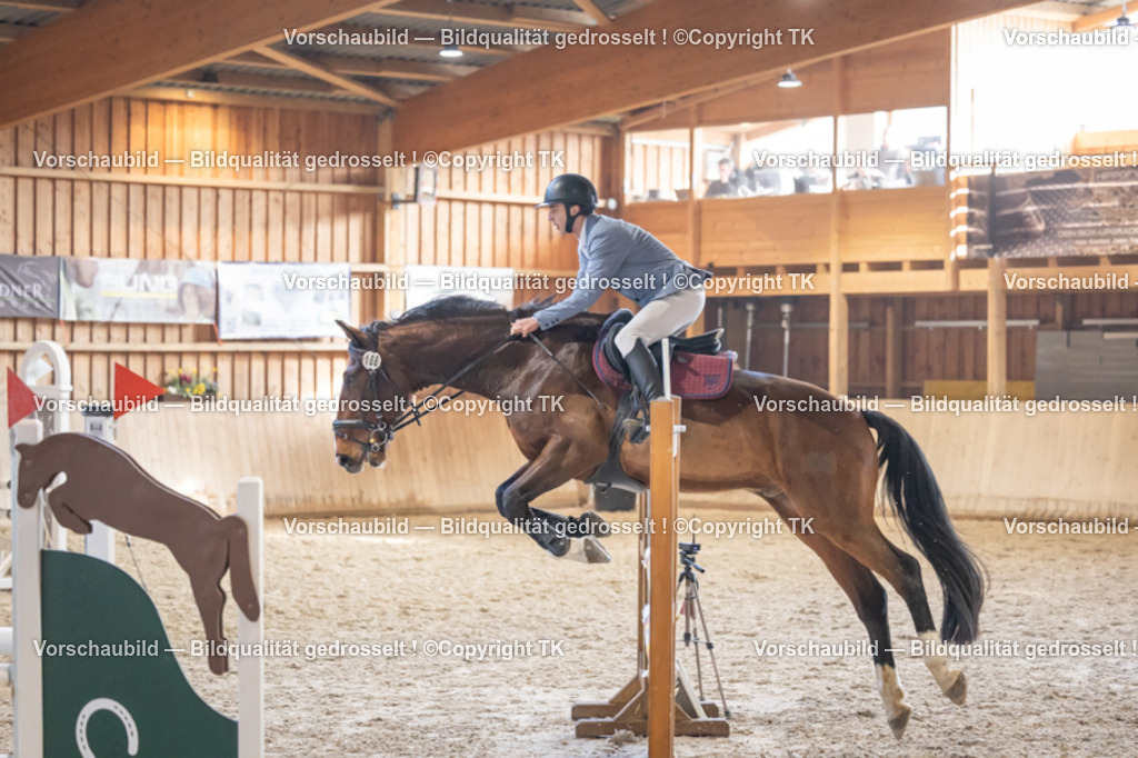 _D5A9200 | Emotionale Pferde- & People-Fotografie rund um Heidelberg, Leimen & Umgebung. Natürliche Fotos von Pferd, Mensch & Familie. Jetzt Termin sichern!