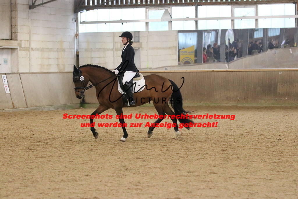 IMG_4171 | lmwpictures - Realisiert mit Pictrs.com