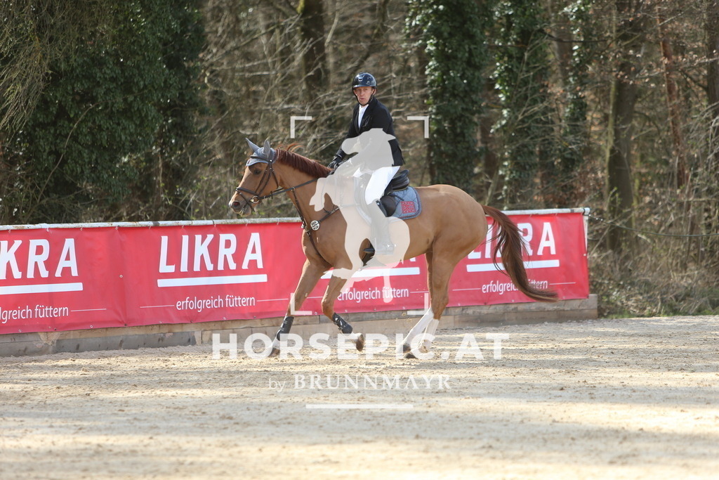 DL2Q9175 | Willkommen bei Brunnmayr - Design & Fotografie – Ihrem Spezialisten für Reitturniere und Pferdeveranstaltungen in Oberösterreich, Salzburg und Bayern! Seit über 17 Jahren sind wir leidenschaftlich dabei.