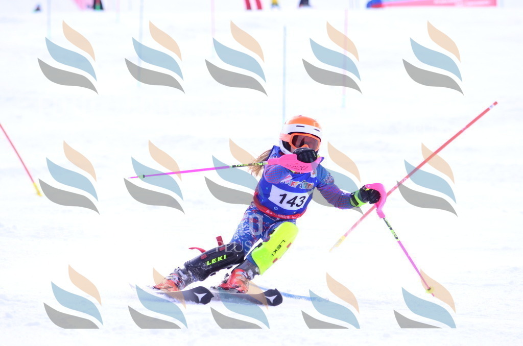 B1853 | holidayphoto