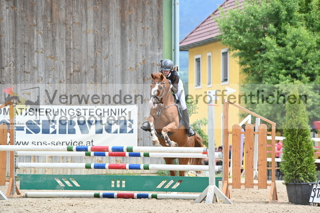 DSC_8384 | equestrian-live-com
