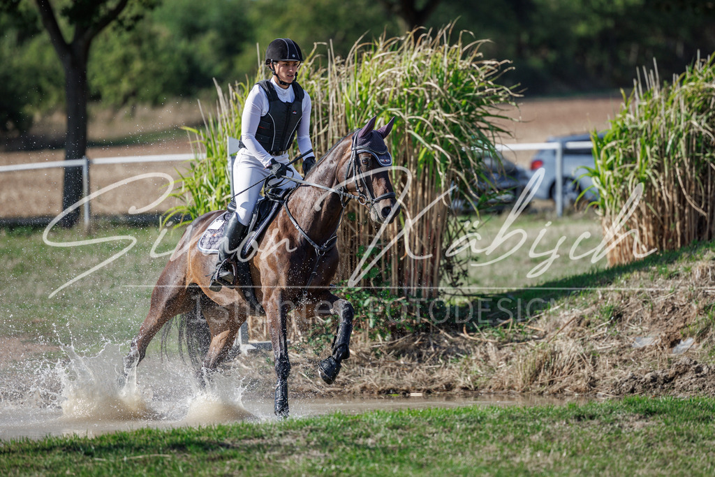 20260905-_3LI0268 | Tierfotografie Pferde, Hunde, Katzen, Haustiere.
Turnierfotografie Reitturniere, Reiten, Springreiten, Dressur in Hanau, dem Main-Kinzig-Kreis und dem Rhein-Main- Gebiet um Frankfurt