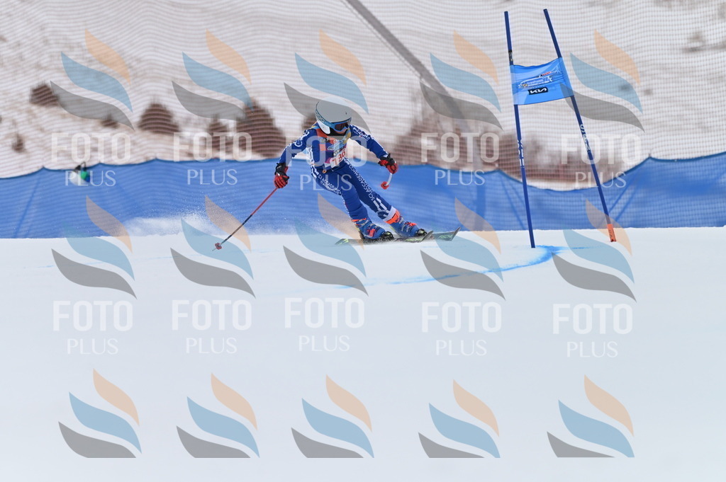 BGV_1227 | holidayphoto