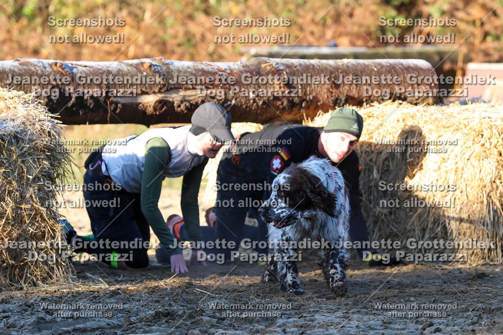 Dog Paparazzi - Strongdog 10-25-743 | Dog Paparazzi Jeanette Grottendiek Fotografie & Videografie - Realisiert mit Pictrs.com