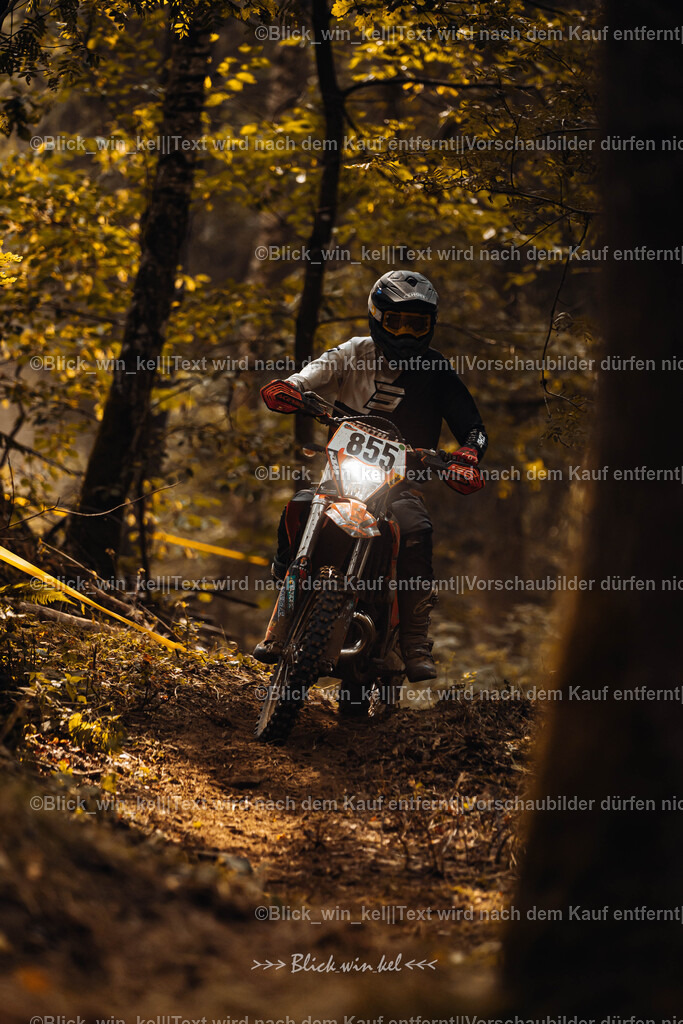 E68A4101 | blick_win_kel