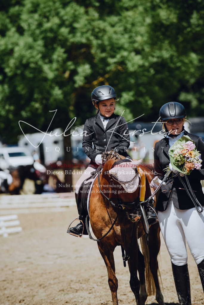 DSC_2684 | Pferde- und Turnierfotografie in Westsachsen. Pferdeportraits, Auftragszeichnungen und intuitive Kunst.