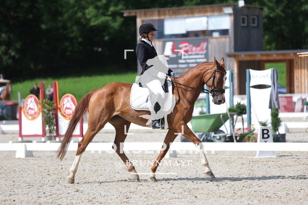 0P6A8991 | Willkommen bei Brunnmayr - Design & Fotografie – Ihrem Spezialisten für Reitturniere und Pferdeveranstaltungen in Oberösterreich, Salzburg und Bayern! Seit über 17 Jahren sind wir leidenschaftlich dabei.