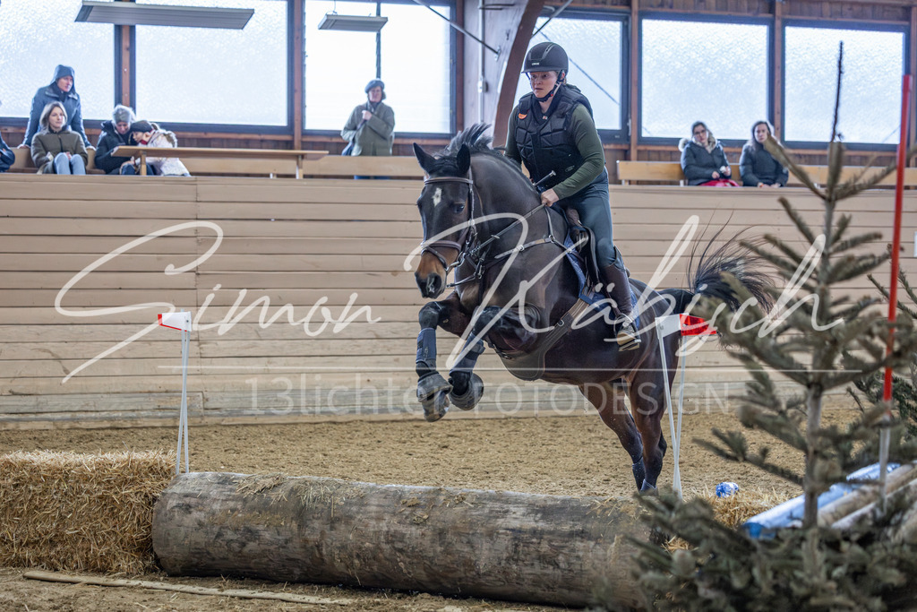 20260221-_3LI9952 | Tierfotografie Pferde, Hunde, Katzen, Haustiere.
Turnierfotografie Reitturniere, Reiten, Springreiten, Dressur in Hanau, dem Main-Kinzig-Kreis und dem Rhein-Main- Gebiet um Frankfurt