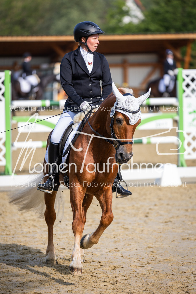 Donop24-A-Dre-139 | MomenTaufnahmen Pferdesportfotos