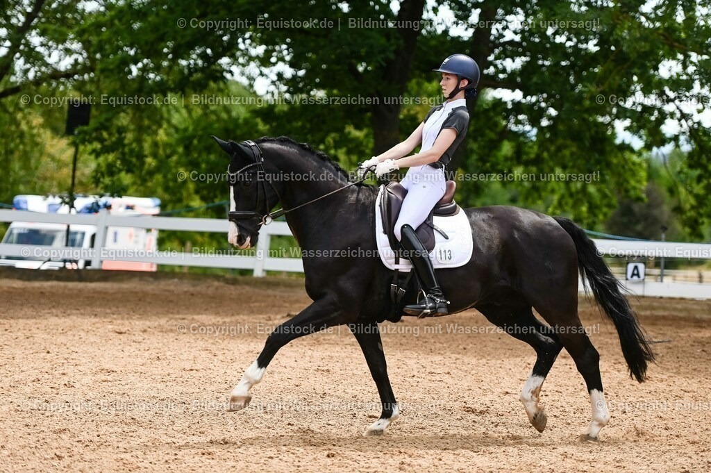 20230715_05_Dressurprüfung Kl.A++_0159 | equistock