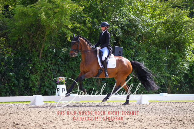 DKP41405 | Deine Turnierfotos vom Reitturnier online kaufen: Dressur, Springen & Siegerehrung. Professionelle Pferdefotografie aus dem Rheinland – als Download & Print.Alternative: Turnierfotograf für den Pferdesport: Finde deine Fotos von Dressur- und Springturnier