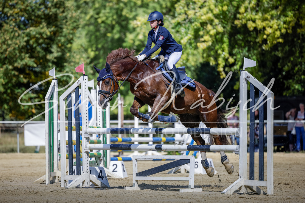 20250906-_3LI3895 | Tierfotografie Pferde, Hunde, Katzen, Haustiere.
Turnierfotografie Reitturniere, Reiten, Springreiten, Dressur in Hanau, dem Main-Kinzig-Kreis und dem Rhein-Main- Gebiet um Frankfurt