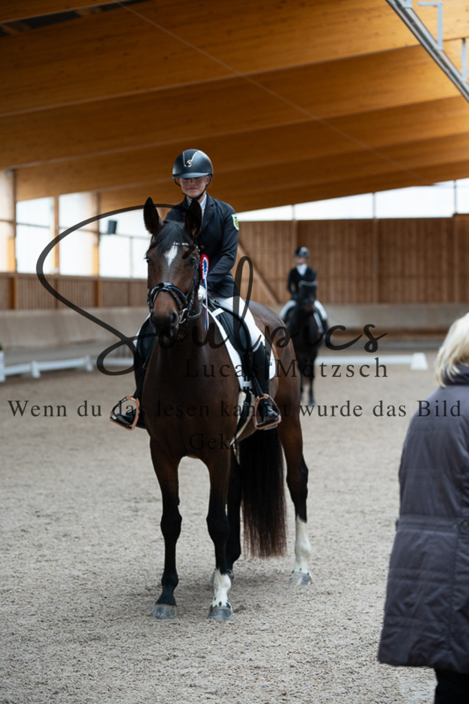 A7V02513 | Pferdefotograf