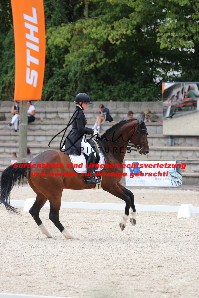 IMG_1749 | lmwpictures - Realisiert mit Pictrs.com