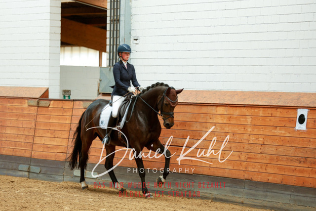 _62_4369 | Turniersportfotografie; Pferdefotografie; Dressurfotografie