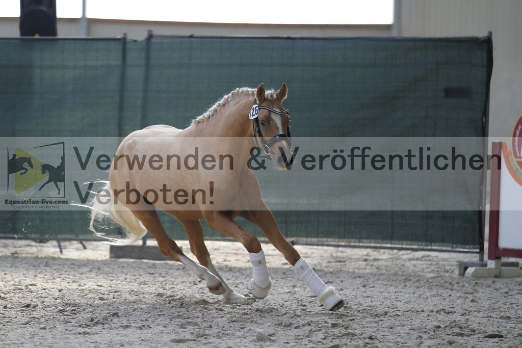 _MG_9753 | equestrian-live-com