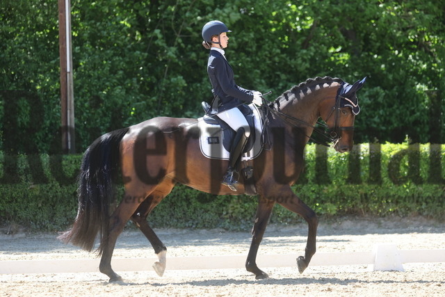 Böblingen_2025_Prfg.Nr.08_Dressurprüfung_Kl.M_Nürnberger Burgpokal_Leni-Sophie Lasser_Friedensfürstin 5 (1) | Alle Fotos der Reiterjournal Fotografin Doris Matthaes im Reiterjournal Online-Fotoshop. - Realisiert mit Pictrs.com