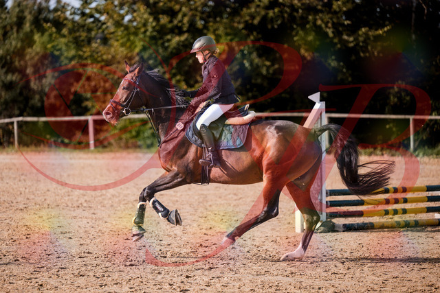 2026_10_03_Siefer-Hof_155937_Z81_79652031 | Professionelle Reitsport-, Turnier- und Eventfotografie von Robert Broda. Galerien mit ausgewählten und bearbeiteten Bildern direkt online ansehen und bestellen.