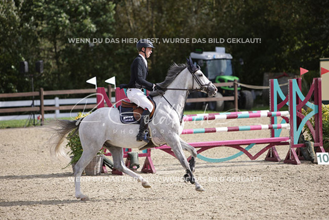 1J2A8826Hannes Ahlmann_ Cool Design 8_ Kn293_ Havekost | Foto- und Videografie für alles rund ums Pferd. Hochwertige Bilder und Videos vom Spring- und Dressurreiten, Voltigieren & mehr. Jetzt aktuelle Veranstaltungen und Preise im Shop ansehen. - Realisiert mit Pictrs.com