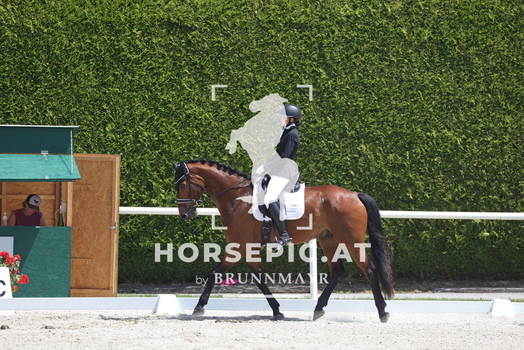 0P6A5819 | Willkommen bei Brunnmayr - Design & Fotografie – Ihrem Spezialisten für Reitturniere und Pferdeveranstaltungen in Oberösterreich, Salzburg und Bayern! Seit über 17 Jahren sind wir leidenschaftlich dabei.