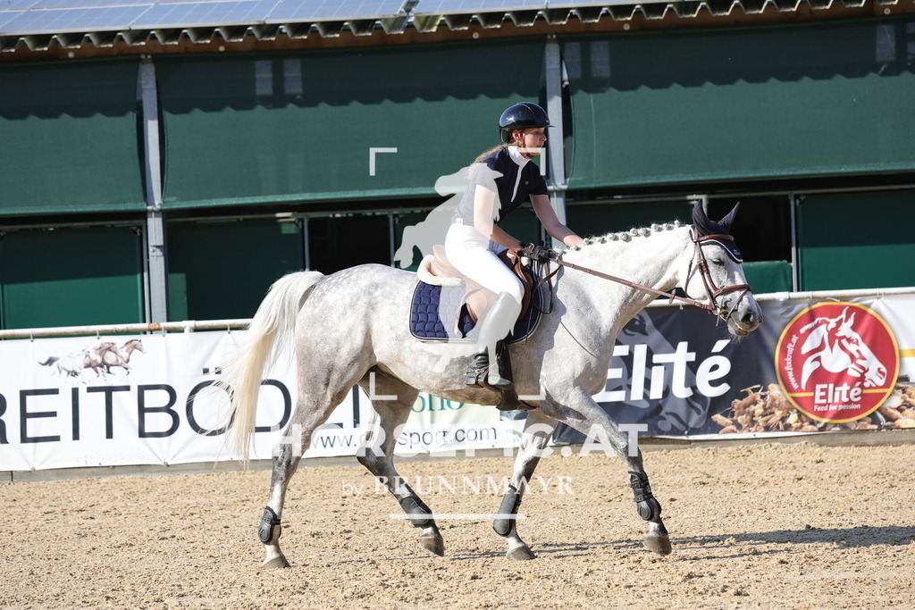 0P6A2143 | Willkommen bei Brunnmayr - Design & Fotografie – Ihrem Spezialisten für Reitturniere und Pferdeveranstaltungen in Oberösterreich, Salzburg und Bayern! Seit über 17 Jahren sind wir leidenschaftlich dabei.