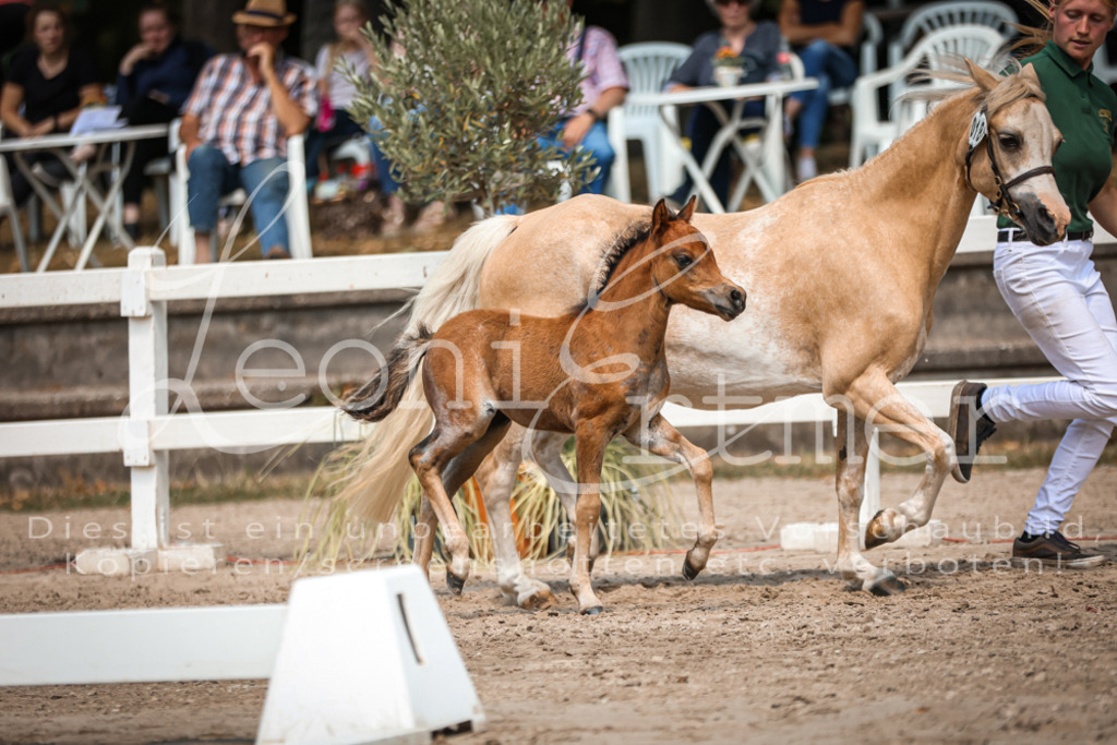 04.DoWP00061 | Leoni Ertmer Photography - Realisiert mit Pictrs.com